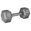 Weider 20 Lb. Hex Dumbbell