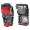 Everlast Muay Thai Training Gloves